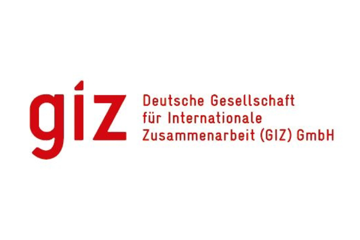 Die Deutsche Gesellschaft für Internationale Zusammenarbeit (GIZ)